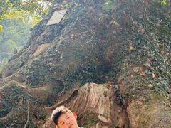 -杨家堂村