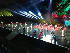 -南京奥林匹克体育中心-体育馆