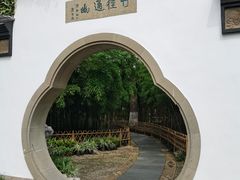 -西湖游船