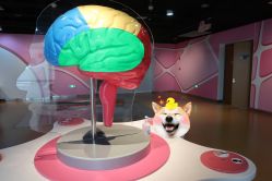 -北京科学中心儿童乐园