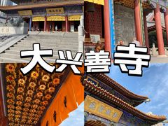 -西安大兴善寺