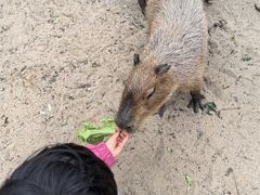 -南戴河国际娱乐中心