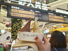 -野人先生Gelato(上海长宁龙之梦店)