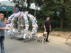-无锡动物园·太湖欢乐园