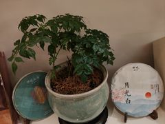 -拂晓山房·私房川菜(西门店)