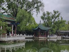 -MAP CHA普洱茶馆(翠湖店)