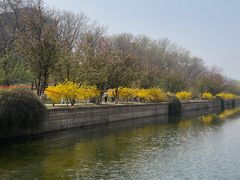 -元大都城垣遗址公园