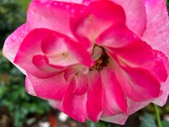 -人民公园(罗湖区)