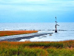 -南汇嘴观海公园