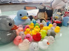 -JT PREP国际学科课程·IB·AP·Alevel(陆家嘴校区)