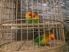 -鱼桥巷·美学川菜