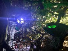 -多彩贵州城极地海洋世界