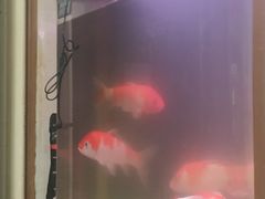 -香满居张记小厨私房菜(青岛站店)