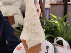 -野人先生Gelato(上海长宁龙之梦店)