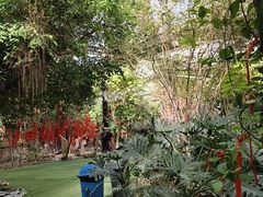 -呀路古热带植物园