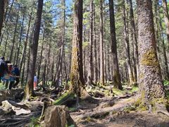 -芦芽山旅游度假区