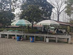 -上海滨江森林公园
