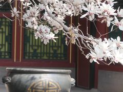 -颐和园