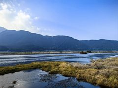 -腾冲北海湿地