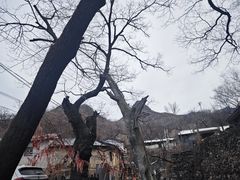 -水峪民俗村