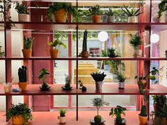 -二酉书店TOYOU BOOKS