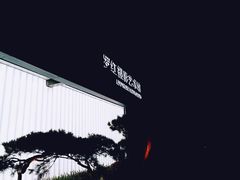 -罗红摄影艺术馆