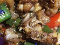 -蛙来哒(万泰新天地店)