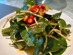 凉拌折耳根-懒人盐府人家(航天桥店)