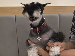 -美联众合动物医院·24h转诊中心