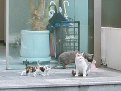 -上海虹桥迎宾馆