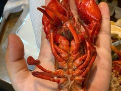 精品大龙虾-毛哥小馆子(百井坊巷店)