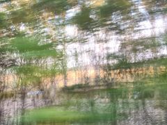 -蒲河岛湿地公园