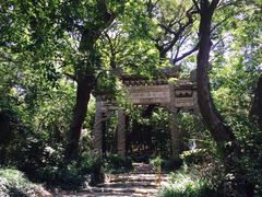 -平湖九龙山旅游度假区