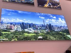 -深圳市当代艺术与城市规划馆