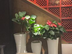 -喜湘宴·精致湖南菜(和平西桥店)