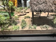 -中国京杭大运河博物馆