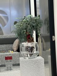 -三只熊皮肤管理中心旗舰店