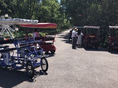 -上海海湾国家森林公园