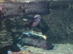 -太平洋海底世界