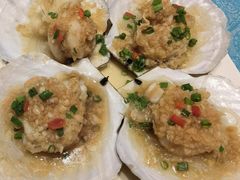 扇贝-北塘海鲜·天津菜(大光明桥旗舰店)