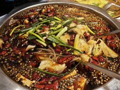 -乡土特色.冷锅鱼.牦牛肉汤锅