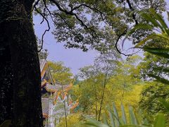 -岳麓山风景名胜区