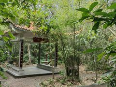 -大屏嶂森林公园