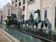 -济州岛泰迪熊博物馆