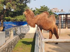 -瑜上·山食小馆