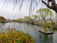 -无锡蠡湖国家湿地公园-蠡园
