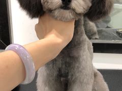 -严国平动物医院(德政总院)