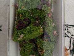 -重八牛府之小有名气(大望路店)