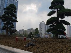 -白金汉爵大酒店(相城店)