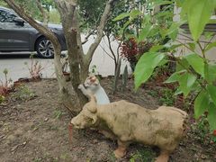 -龚家花园农家乐休闲别墅